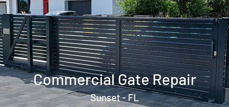  Commercial Gate Repair Sunset - FL