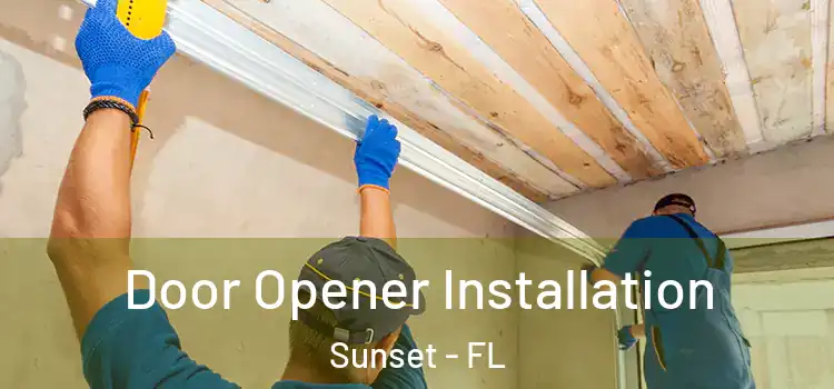  Door Opener Installation Sunset - FL