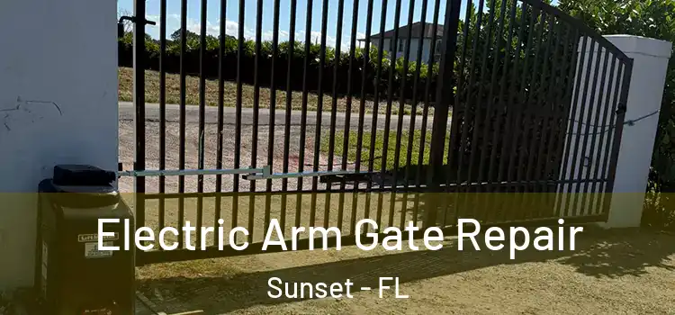  Electric Arm Gate Repair Sunset - FL
