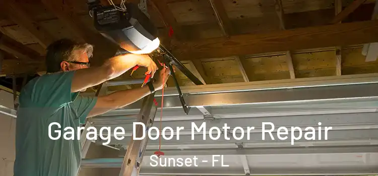  Garage Door Motor Repair Sunset - FL