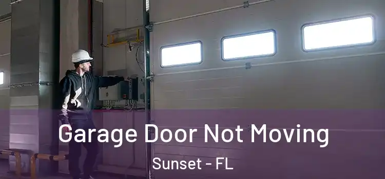  Garage Door Not Moving Sunset - FL