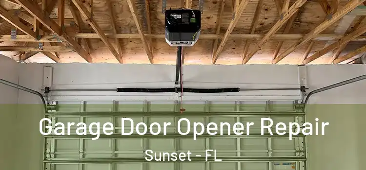  Garage Door Opener Repair Sunset - FL