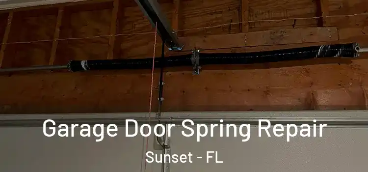  Garage Door Spring Repair Sunset - FL