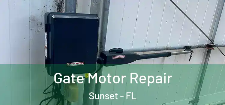  Gate Motor Repair Sunset - FL