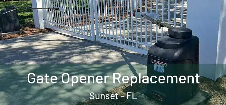 Gate Opener Replacement Sunset - FL