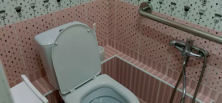 Meeting Diverse Needs With Accessible Restroom Solutions in Sunset, FL